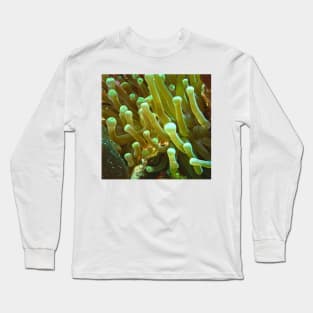 Giant Yellow Sea Anemone Long Sleeve T-Shirt